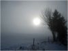 Filename=001.jpg
Filesize=392KB
Dimensions=854x642
Date added=Jan 14, 2011 001.jpg