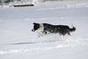 Filename=2.jpg
Filesize=106KB
Dimensions=1008x670
Date added=Mar 09, 2006 2.jpg