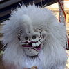 Filename=3~13.jpg
Filesize=276KB
Dimensions=1092x1092
Date added=Feb 20, 2008 3~13.jpg