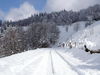 Filename=PICT3187k.jpg
Filesize=273KB
Dimensions=1024x768
Date added=Mar 08, 2006 PICT3187k.jpg